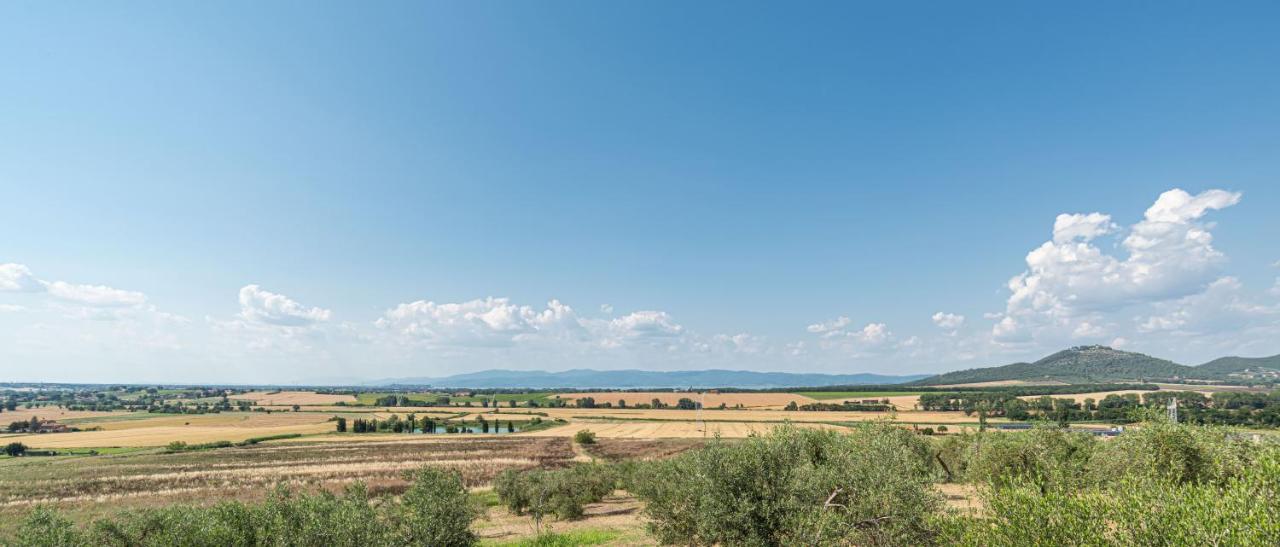 Casolare Marconi Lägenhet Panicale Exteriör bild