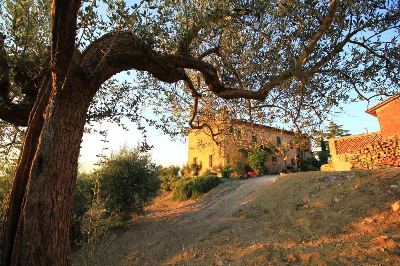 Casolare Marconi Lägenhet Panicale Exteriör bild